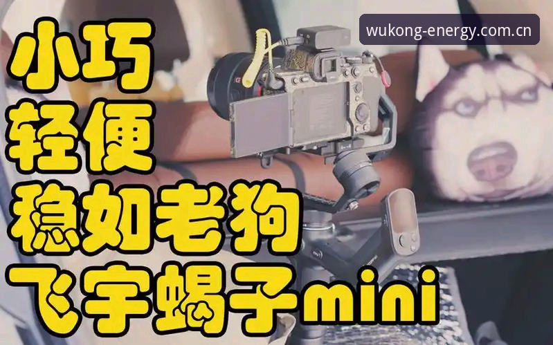 从手忙脚乱到稳如老狗：中国原创运动能量站苹果版登录操作教程